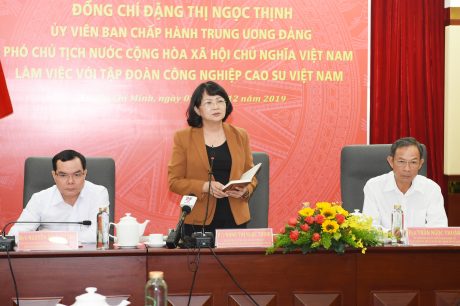 Phó Chủ tịch nước ấn tượng trước thành quả của VRG
